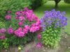 Rina_683267.jpg