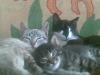14alina_303977.jpg