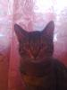 Alina24_144144.jpg