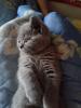 Plucha_830040.jpg