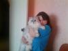 Sova_471692.jpg