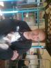 ozon0852_937877.jpeg