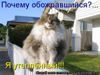 ABCDEF_794850.jpg