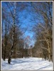 Roshen