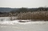 Smailik96_460894.jpg