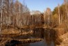 Smailik96_747118.jpg