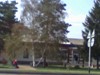 kiskiskis_844955.jpg