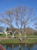 kroxa_795385.jpg